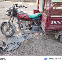 ستوته • موديل 2020 • أوراق كاملة