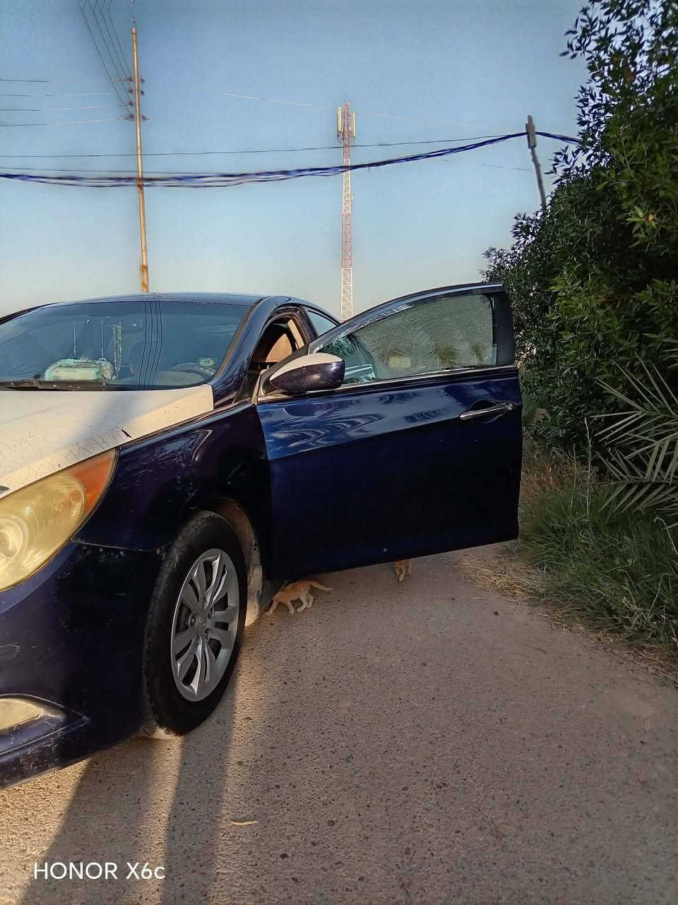 سلام عليكم هونداي سوناتا موديل ٢٠١٣ وارد امريكي محرك ٢٤٠٠ خير من الله كير حداديه تبريد ثلج تحكمات ستيرن مواصفاته مواصفات عاديه ماشيه ١٩٢٤ حقيقي  ضررهة قطعتين من امريكا وبيه كلير بضررهة رقم ديالى ثاني يوم تحويل سياره سنويه جديده داخله هزة مكاني ديالى بعقوبه 
سعر 100 بيه مجال رقم الهاتف *********** متواجد خاص

