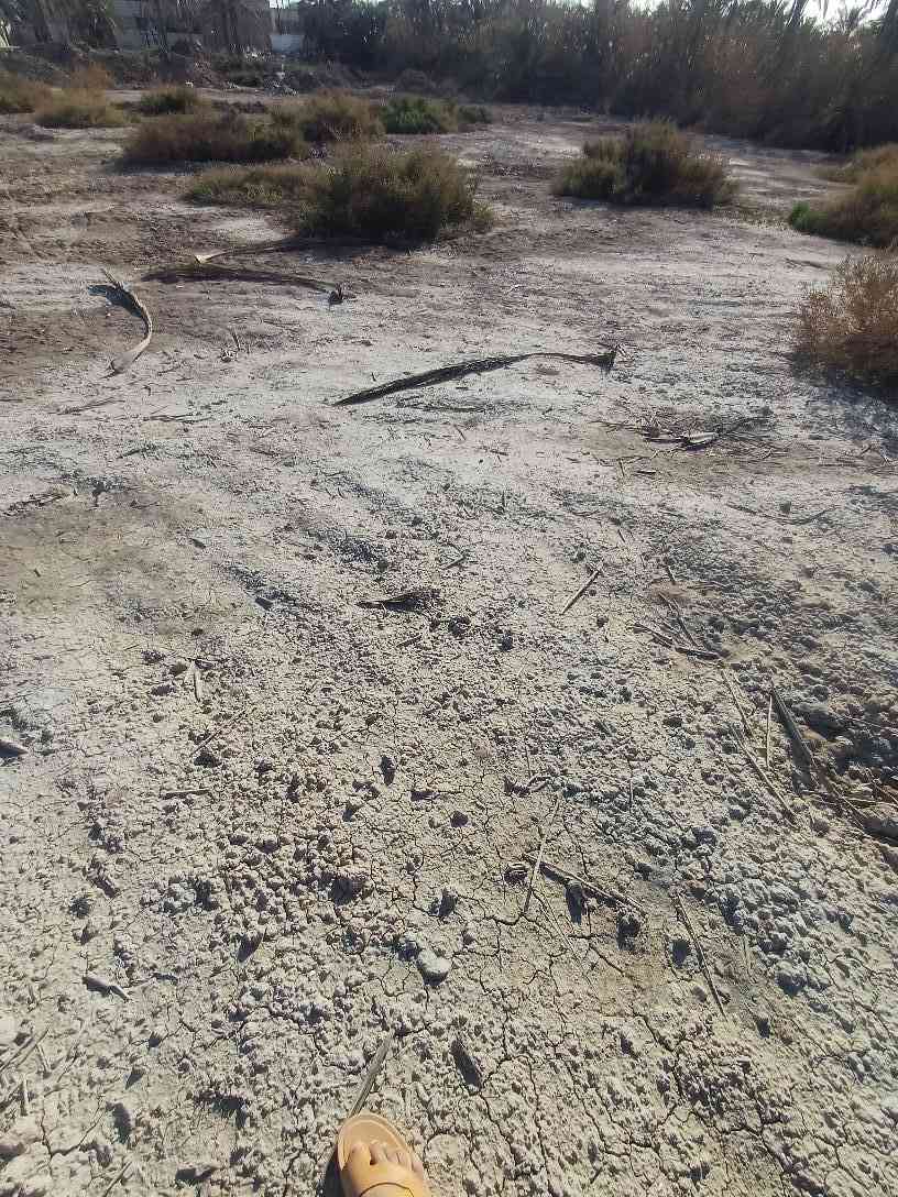 800متر. طابو عراقي سهم تحويل شارع تبليط ٩متر وقريب للطريق السياحي ابوالخصيب حمدان منطقة كلش حلوه *********** ابو الخصيب, البصرة
