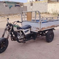 موديل ١٢ • أوراق ناقصة • ستوته