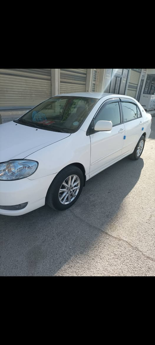 Corolla 2007
كورلا نحله2007
سياره مصبوغه حزام 
محرك 1800
سياره جاهزه من تخم تاير حداديه
مكينه كير كله 
رقم ديالى نكليزي هزه وسنويه جديده 
سياره مشروع وطني
سياره جاهزه من كل النواحيه 
مكان السياره واسط النعمانيه
السعر 72
هـ***********
