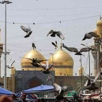 سامراء والكاظمية • ٢١/١١/٢٠٢٥ • للعوائل