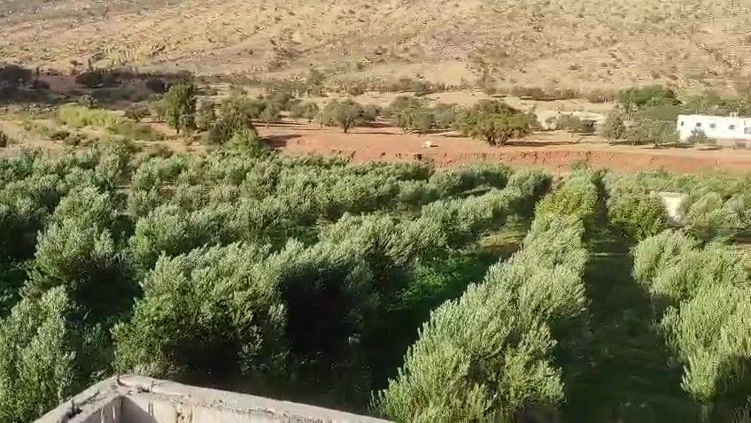 فيرما تتواجد بنواحي صويرة بضبط عرباء نتاكوشت جات تقريبا حدا لثنين امتليت 
كتبعد على صويرة ب64km
فيرما فيها سكن ديالها باقي خاصو شوية اصلاحات 
فيها كوري 
وبئر 
وطاقة شمسية 
وشارج 
فيها احواض ديال فصة 
ومساحة للزراعة الخضر/الفواكه 
فيها بوتاكوت 
فيها بعض اشجار فواكه كالعنب والرمان والخوخ والتفاح والكرموس 
فيها 320 زيتونا 
و130 خروبا


**إذا كنت صاحب هذا الإعلان وتريد حذفه لأي سبب، رجاءا أرسل رسالة إلى الدعم الفني**