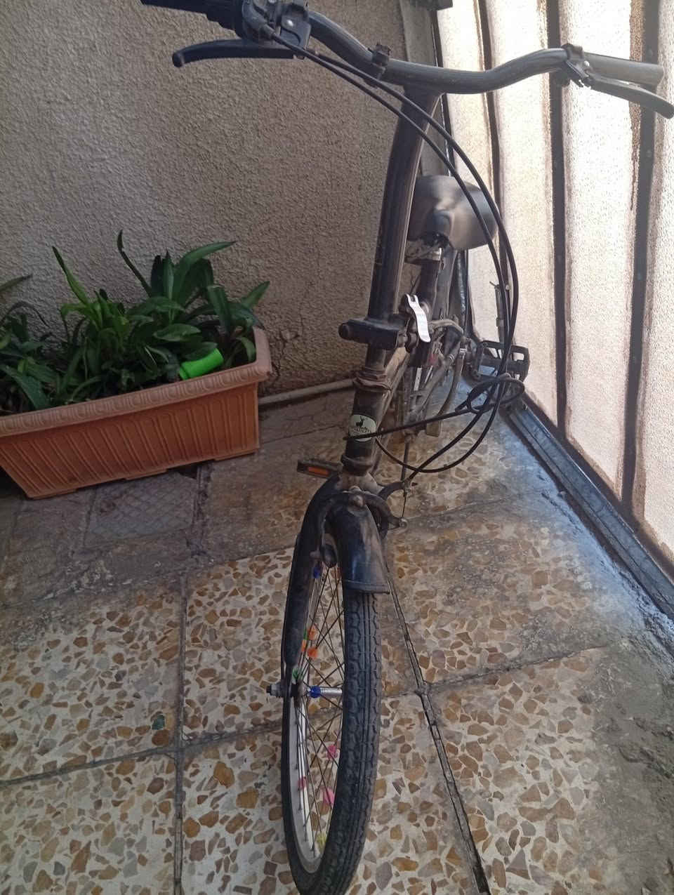 بايسكل ياباني مال باله حجم 20 السعر 75 الف العنوان بغداد صليخ الستميه


**إذا كنت صاحب هذا الإعلان وتريد حذفه لأي سبب، رجاءا أرسل رسالة إلى الدعم الفني**