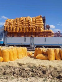 تبن • كيس ٦٠ • توصيل مجاني