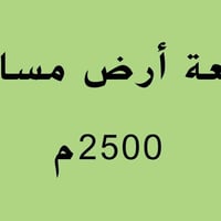 مركز الحله • ٢٥٠٠م • سند زراعي