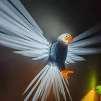 ٢٠ قطعة • ديكور