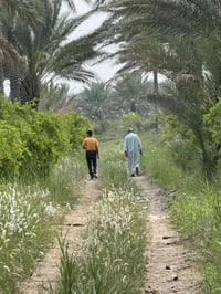 اخواني عرض فقط المدت يومين قرار (177)35سنة بسمك العقد تكدر تملكة البست...