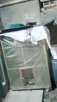 قفص كوكتيل • نضيف • مستخدم شهرين