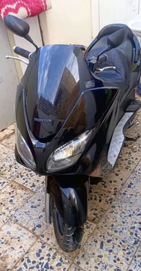 فورزا • ٢٠٠٩ • كفالة