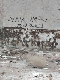 حي النصر • ٣٠٠م • طابو زراعي