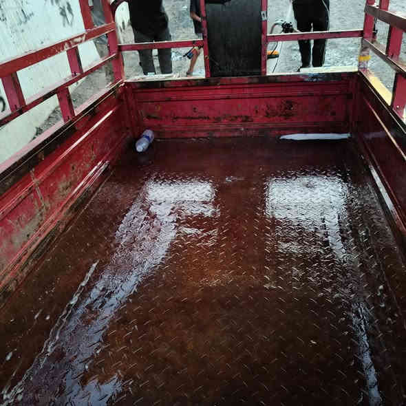 سلام عليكم ستوته دايوان فحل اوراق كامله مكينه خير من الله اكسن لا ونه ولا كلشي نكره سلف مكاني زعفرانيه السعر مليون وبيهه مجال حك جيه ***********
