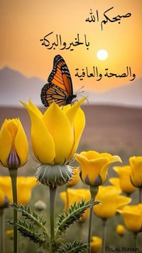 ٢٠٠م • جاهزة للبناء • الاسكان الصناعي الحولي