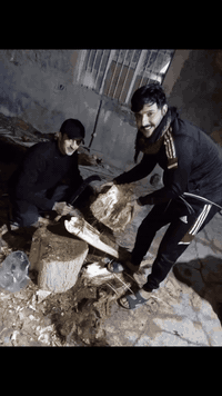 من رخصت ادمن يوجد جمار نخل في سبيل  الله اليريد يتصل 07874984285