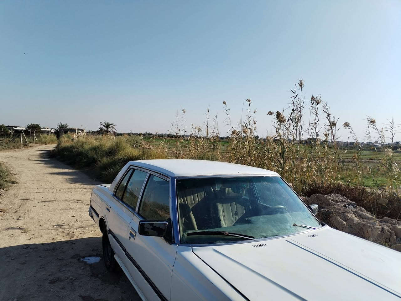 سوبر ٨٢
رقم انگليزي مثنى بأسمي
مكينه بطه ثنين ونص
سياره جاهزه مثل ما تشوف كدام عينك
مكان السياره ديوانية قضاء الدغاره
سعرها ٣٠ ورقه
***********
