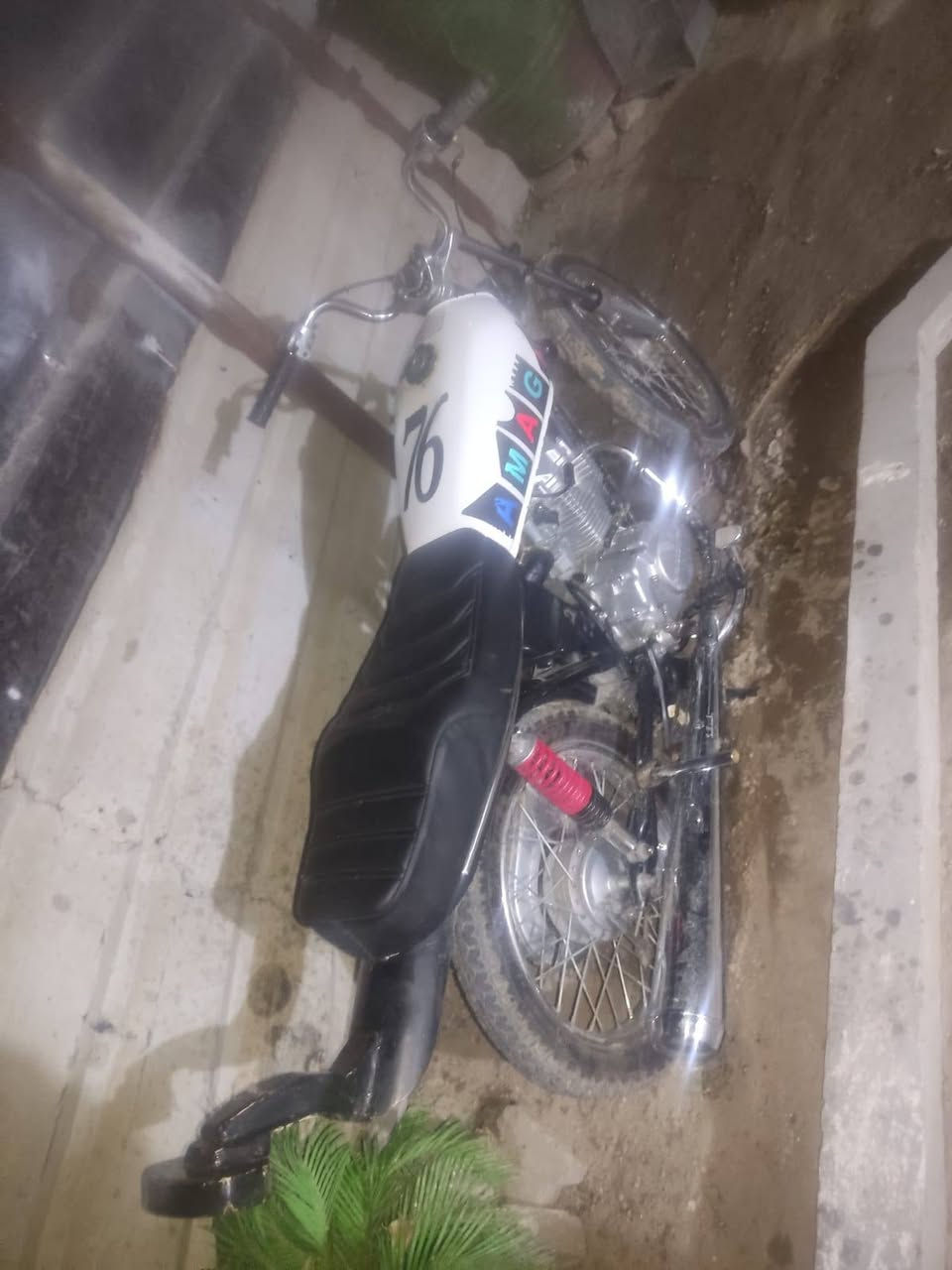 اخوان أربعة كير شلامجةاوراق جديدةمكان كربلاء وتساب السعر 600 وبيهة مجال للطيبين***********  
وتساب
