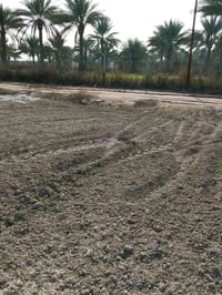 نصف دونم • نهر السلام كربلاء