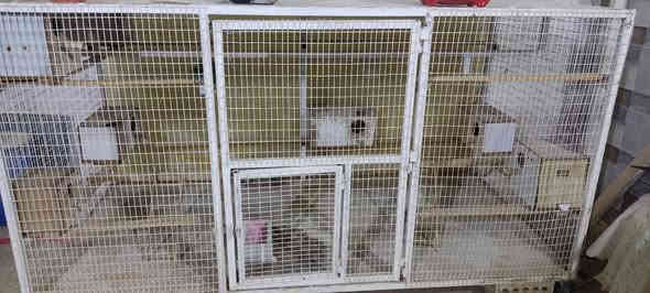 نانو شبكه. وقفص تسكام حديد جديد
***********
