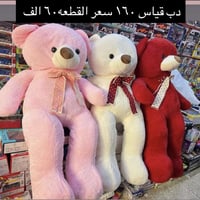 دب • قياس ١٦٠ • هدايا حكاية