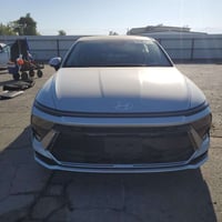 سوناتا • ٢٠٢٤ • كتاب شهداء