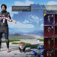 حساب ببجي • السيديه • الايدي موجود