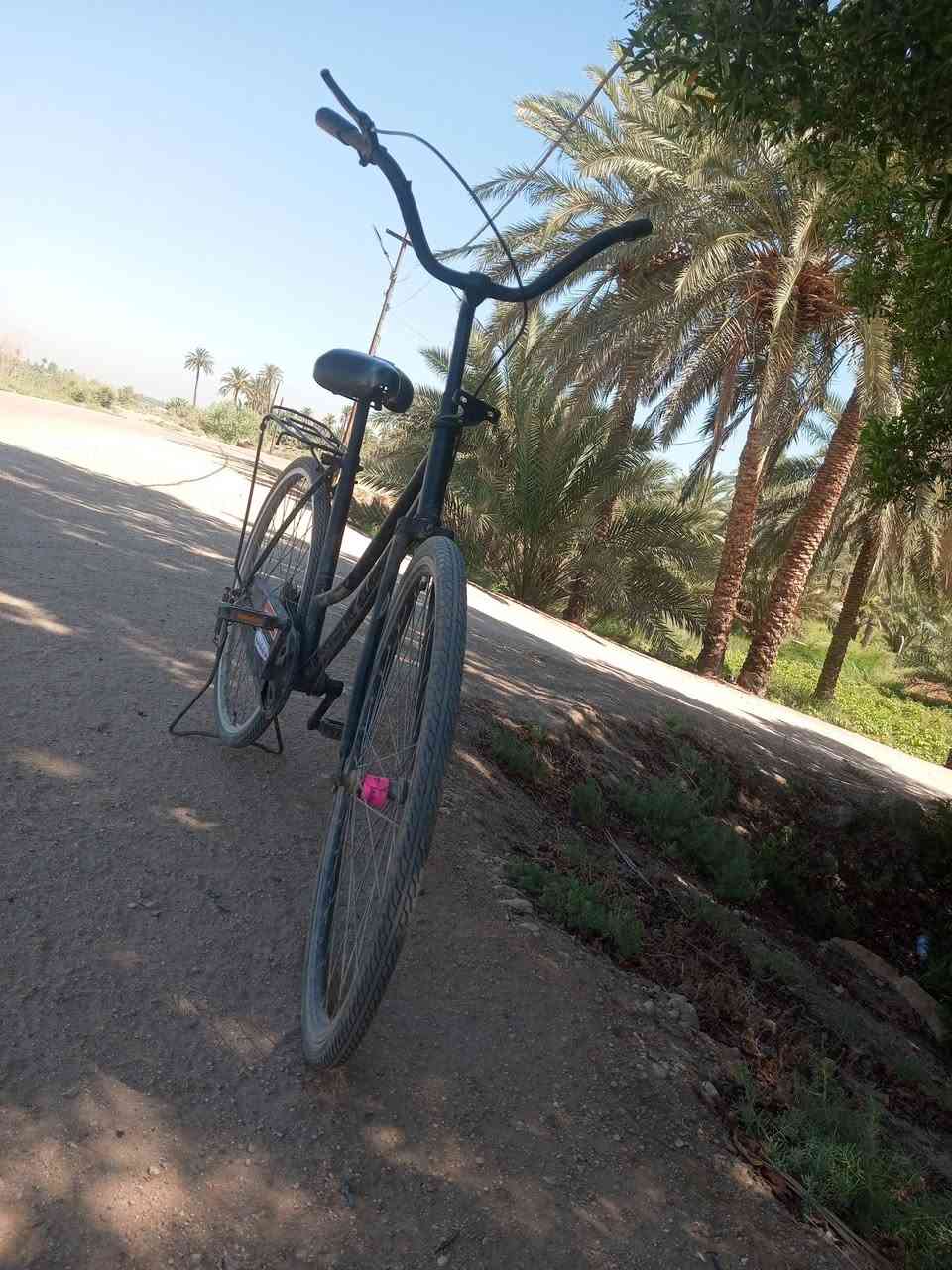 للبيع السعر 25 راسلني خاص


**إذا كنت صاحب هذا الإعلان وتريد حذفه لأي سبب، رجاءا أرسل رسالة إلى الدعم الفني**