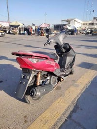 ماكس ثعلب • نوزل • مامفتوحه