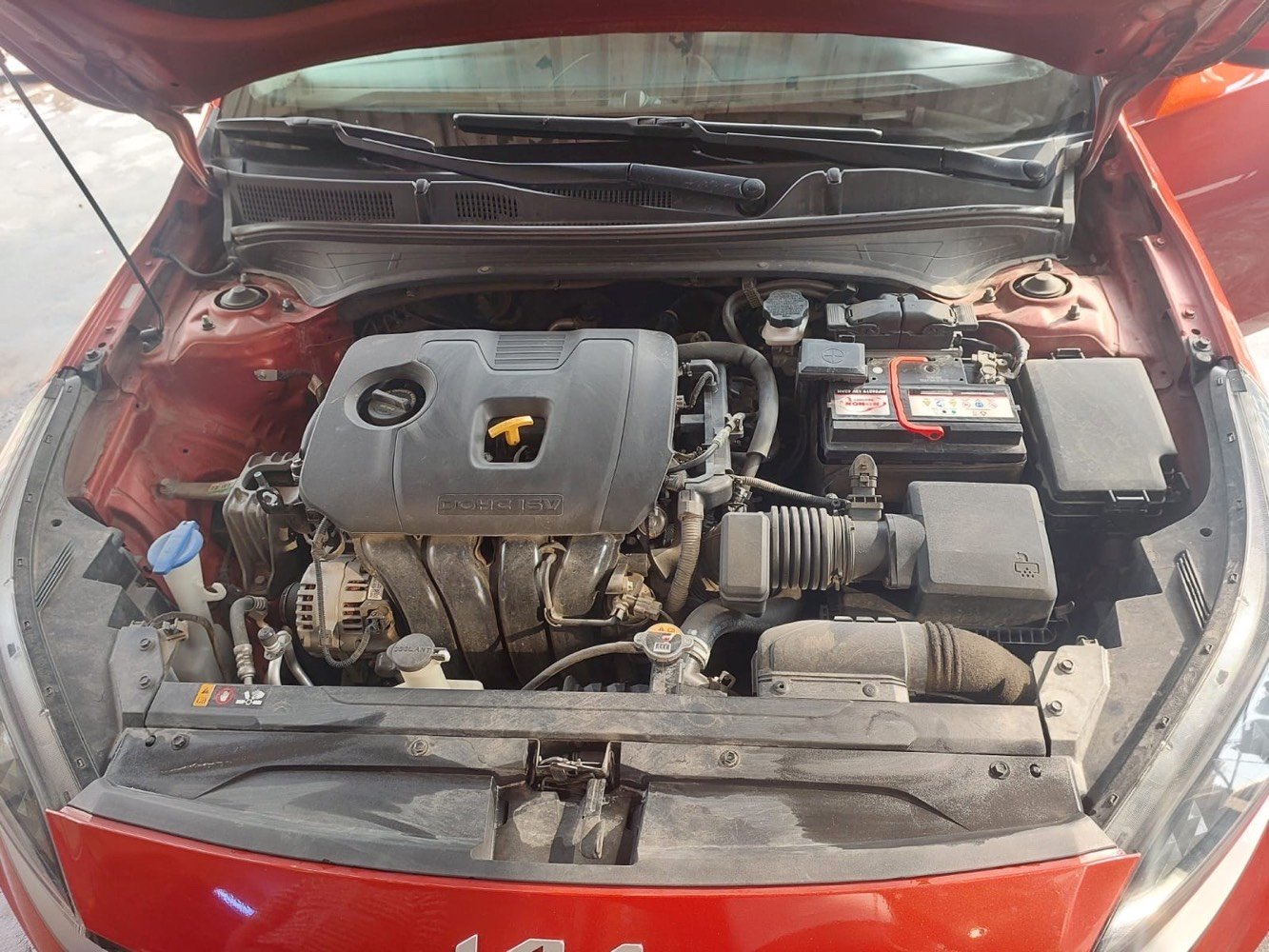 السلام عليكم 
فورتي للبيع 2023 
رقم بغداد معوقين
سياره جديده حداديه تخم تاير 
كير AT المرغوب المكينه كفاله
ماشيه 45mil
السعر 145$  
***********