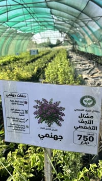 مشتل النجف • شتلات زينة • شتلات فاكهة