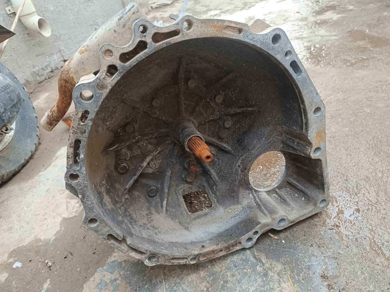 كير البيع عل شقل مال فحل متوح***********.   سعر 450
