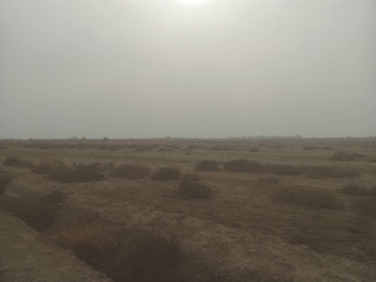 سلام عليكم اخوان كيعان ثنين للبيع الوحده 15دونم توجد بيهن ماء وكهرباء الشراي بي خير ويدلل وهاذه رقمي ***********
