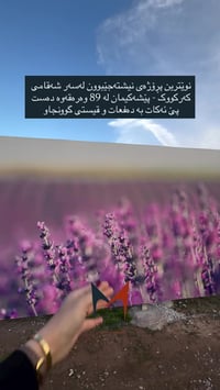 أربيل • طريق كركوك • مشروع سكاي لاين