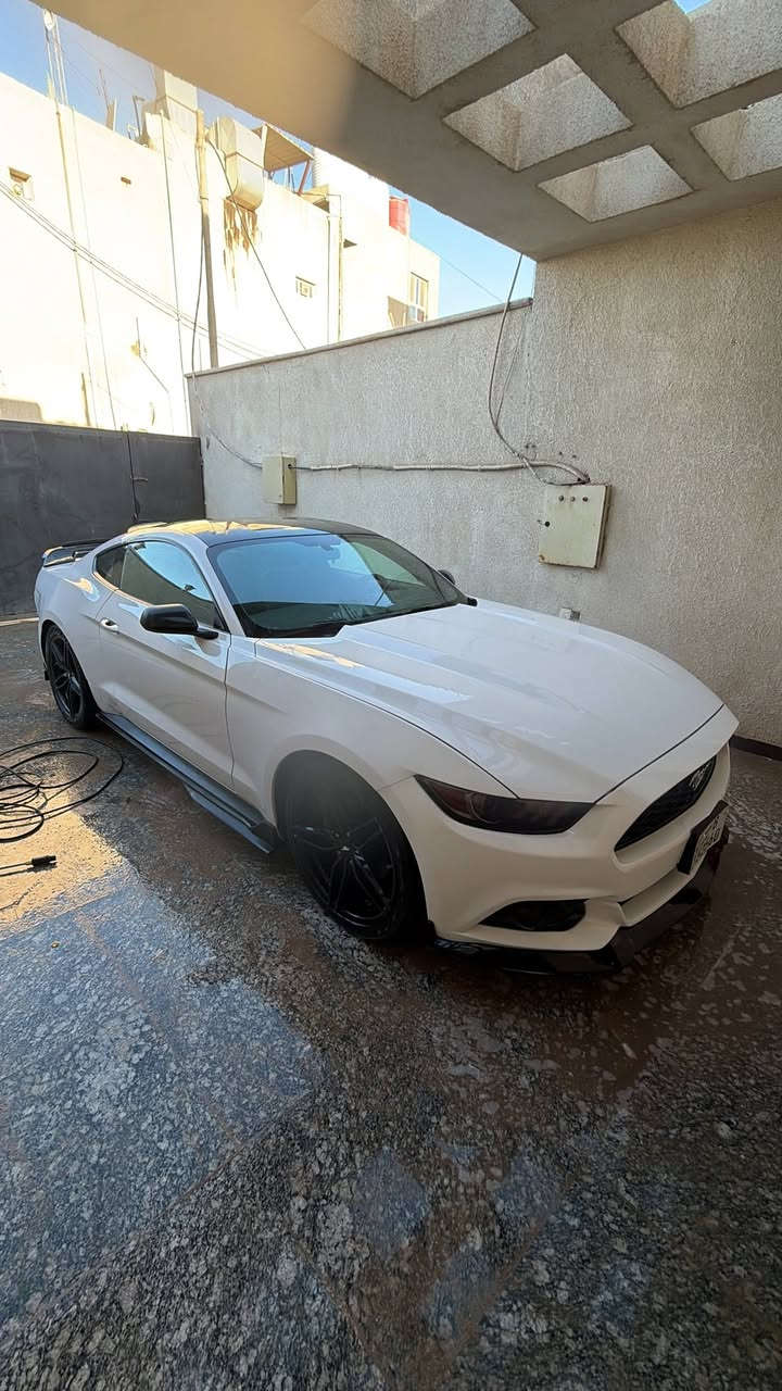 موستنگ ابيض ٦ سلندر ٢٠١٧ للبيع
ابيض مقدس
ماشية ٧٨ الف كيلو (بعدها بحيلها)
السيارة كلين ما شاء الله، و الي يريد رقم الشاصي يندزله خاص
شرط الفحص و السونار !!! 
كل الي بيها ضربة بالدعامية الورا و PDR مال حالوب

عليها بك لايتات سموك
دفيوزر
لحية
ستكر تنتة اسود جمالية
ليدات جانبية جديدة
اضوية امامي جديدة

السيارة سعرها ١٦٠$
بيها مجال للطيبين، و ما عندي مشكلة بالمراوس ويا الفرق

رقمي
*********** اتصال و واتساب، و دخيلكم لحد يخابر ورا ال١٢ بليل
