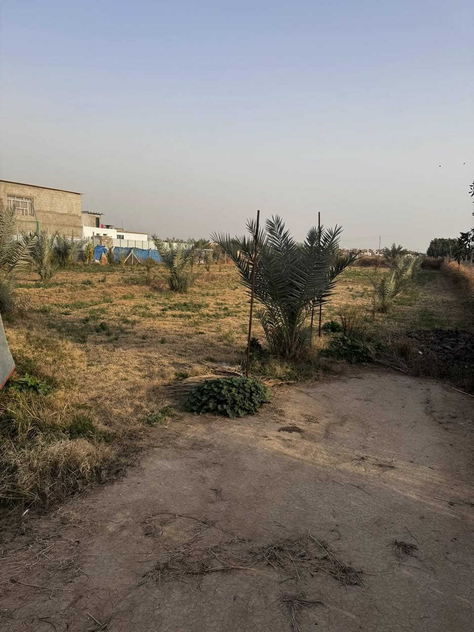 السلام عليكم
للبيع دونم وقف 
بغداد سلمان باك باوي 
وجه 31 
نزال 80 
عقد جديد وخارطة للارض 
مسيج وكامل 
مي سقي مع بير خاص للارض 
مشجر حمضيات ونخيل 
يصلح استثمار او سكن 
سعر مناسب جداً 
للاستفسار 
***********
