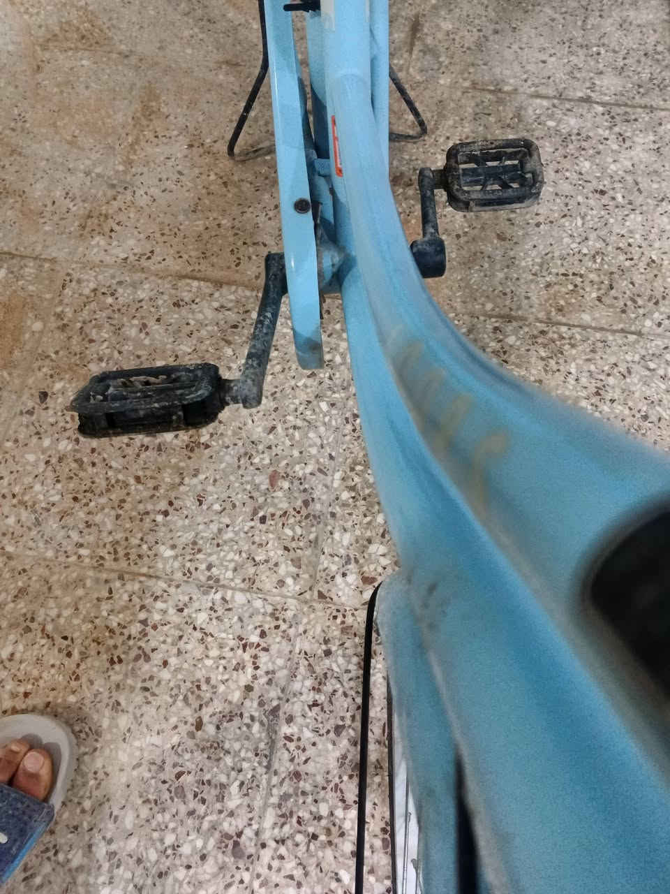 سلام عليكم الباسكل للبيع او مراوس حسب القناعه مديل 22 نزلته بيدي من الخان سعر 125 وبي مجال مكاني نجف الاشرف شارع المجمعات انته تجي اني مااجيي الاستفسار بالواتساب ***********
