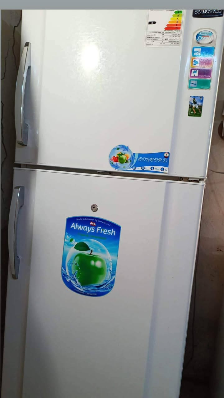 ثلاجه جداا نظيفه الئ درجه نظيفه مسؤله عن كلامي بيع مستعجل سعر خاص


**إذا كنت صاحب هذا الإعلان وتريد حذفه لأي سبب، رجاءا أرسل رسالة إلى الدعم الفني**