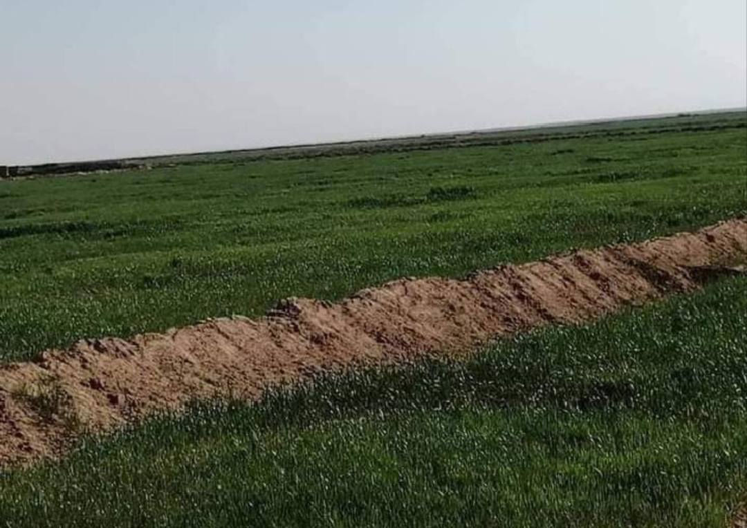 سلام عليكم ارض زراعيه للبيع 500 دونم عقد في واسط عل حدود  بيه كهرباء وبيه بيت وبيه 4 ابار ماء مجازات من دوله اي استفسار اتصل عل رقم
***********
