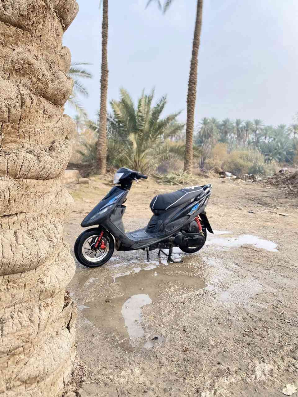 سلام عليكم
ماكس عدله للبيع فول نضافه
الدراجه كلها بلاد قطره تزويد مابيها
شلعه فول
ويالتها بلاديه رجعتهن
محرك ناعم كلش 
اذا برغي مفتوح تاخذها بلاش
#مكاني #شاميه
السعر خاص
لوتي بل 🩴


**إذا كنت صاحب هذا الإعلان وتريد حذفه لأي سبب، رجاءا أرسل رسالة إلى الدعم الفني**