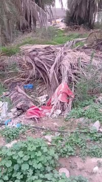 ورحمه الله  قطعة ارض للبيع المساحه 70م واجهة 5نزال 14 سند 25زراعي العن...