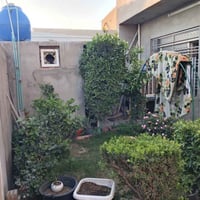 بيت للبيع سند ١٧مساحه ١٦٠ متر بي غرفه وحده ٥×٥ وحولي ٤×٥ ٣حمامات مطبخ ...
