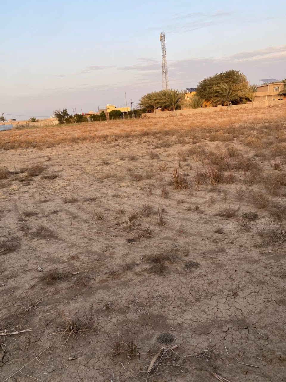 قطعه ارض للبيع المساحه ٢دونم في الدوره منطقه العدوانيه قرب مدرسه النهوض سند ٢٥ طابو المحموديه قطعه الأرض بسمي الاستفسار الاتصال***********
