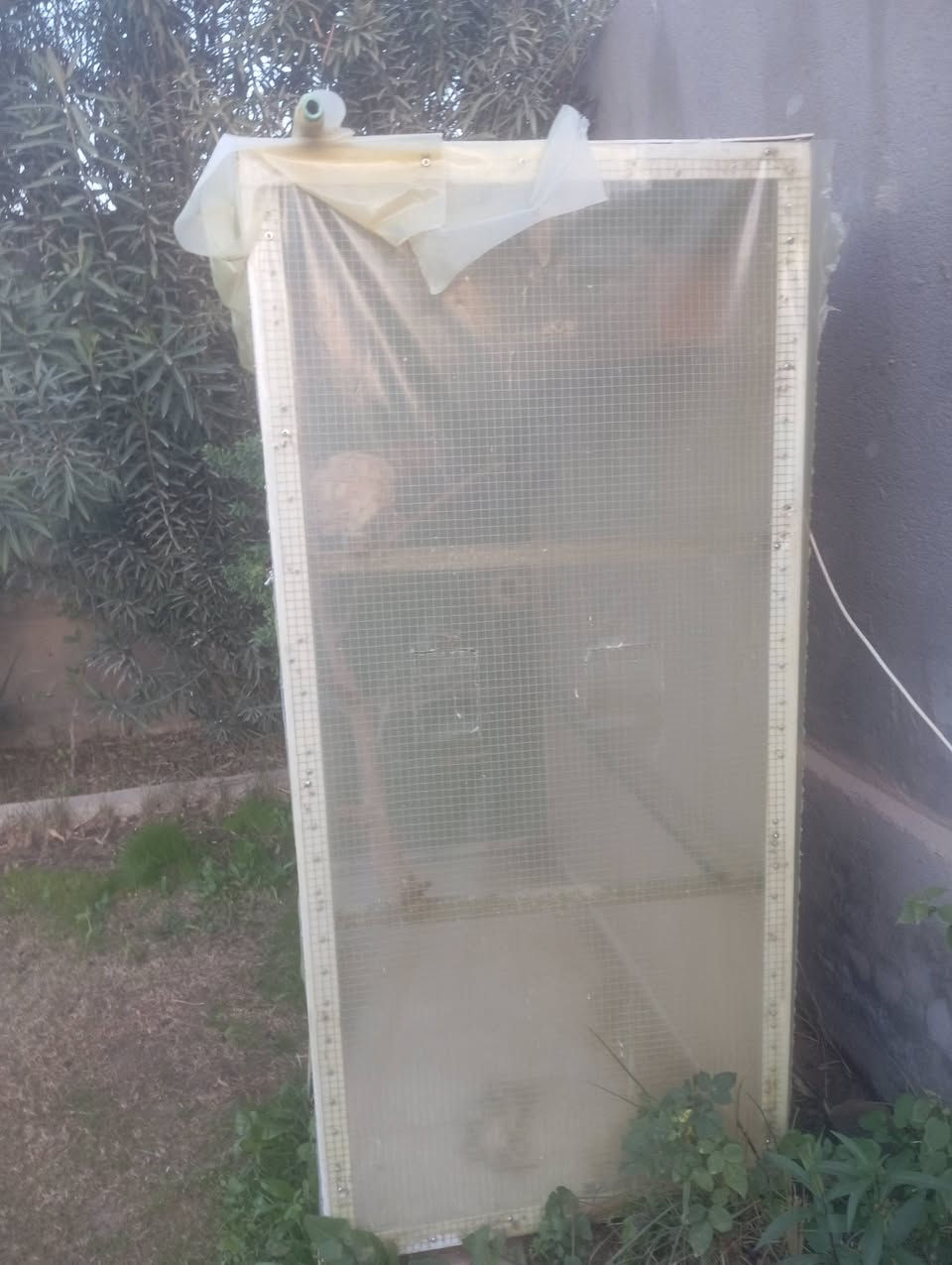 مرخصه الادمن المحترم.
قفص حديد للبيع كامل مكمل 
طوله 170..  العرض 140..  النزال 85
السعررررر::: 150
مكاني: حله ورديه خارج 📍***********📍
الخاص مفتوح
