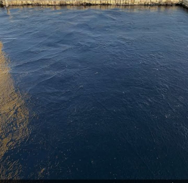 عمال تزفيت تفليش قلع شتاكر ارضيات تصعيد مواد فرش سبيس تراب رفع النقاذ راسلني اوتصل***********
