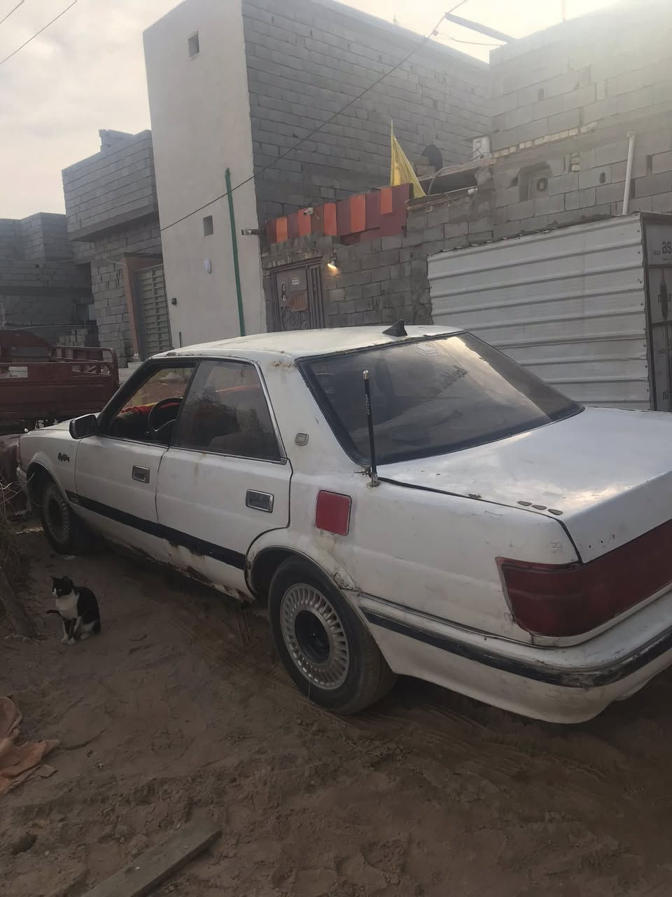 هارتوب طويل ايسر مديل 88 لبيع ب ١٨ ورقه وبيه مجال مكانه بصرة شط العرب جزيره ثالثه مكينه بيه بدايه بكن كير خير من الله حدايده نص عمر تخم تاير جديد باتري جديد سياره رقمه ذي قار سنويه عضم عاج راعيه ما اندله سنويه نافذه ب٢٠٢٠ اتعهد سرقه وعشائر سياره بيه خيسات وبدي شوف عين سبير بيه دواخله شوف عين وعبار بريك جديد وتجي تدلل متواجد خاص واتساب واتصال ***********
