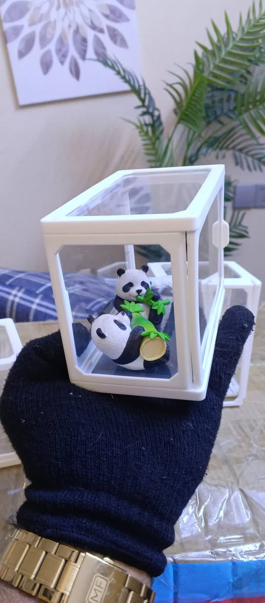 قطع عرض جام خانة 6 قطع ثقيلات


**إذا كنت صاحب هذا الإعلان وتريد حذفه لأي سبب، رجاءا أرسل رسالة إلى الدعم الفني**