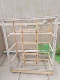 قفص • ارتفاع متر ونص • كركوك حي الاسرى والمفقودين