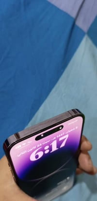 بنفسيجي • ٢٥٦ • السيدية