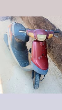 زعره • شغالة • شاصي ملحوم