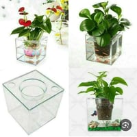 سندانه • حوض اسماك