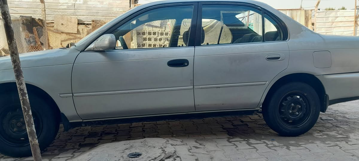 سلام عليكم كورله للبيع مكفوله كفاله عامه من كص واضربه ونقل جثه والصوليات تبريد حداديه خير من الله مكاني نجف السعر ٥٣ ابيه مجال الطيبين الاستفسار ***********
